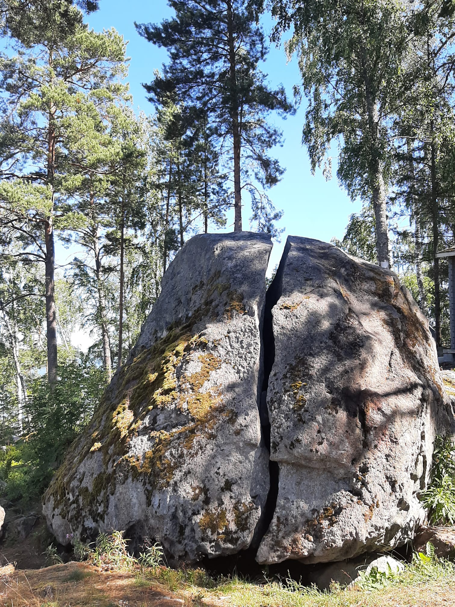 Haljennut kallio aurinkoisessa metsässä symboloimassa muutosta ja vahvistumista